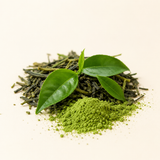 Extrait de thé vert